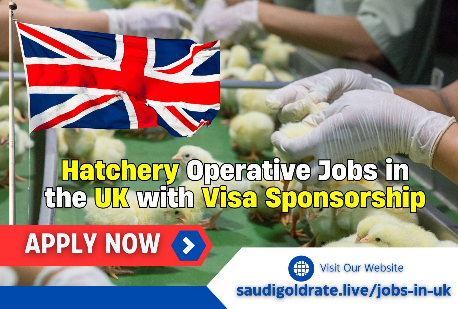 Start Your Career: Hatchery Operative Jobs in the UK with Visa Sponsorship