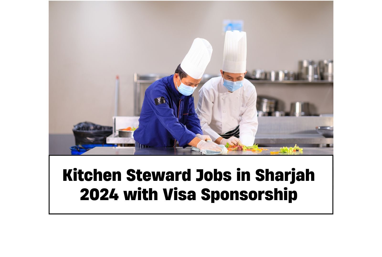 Kitchen Steward Jobs in Sharjah 2024 with Visa Sponsorship – Apply Now!