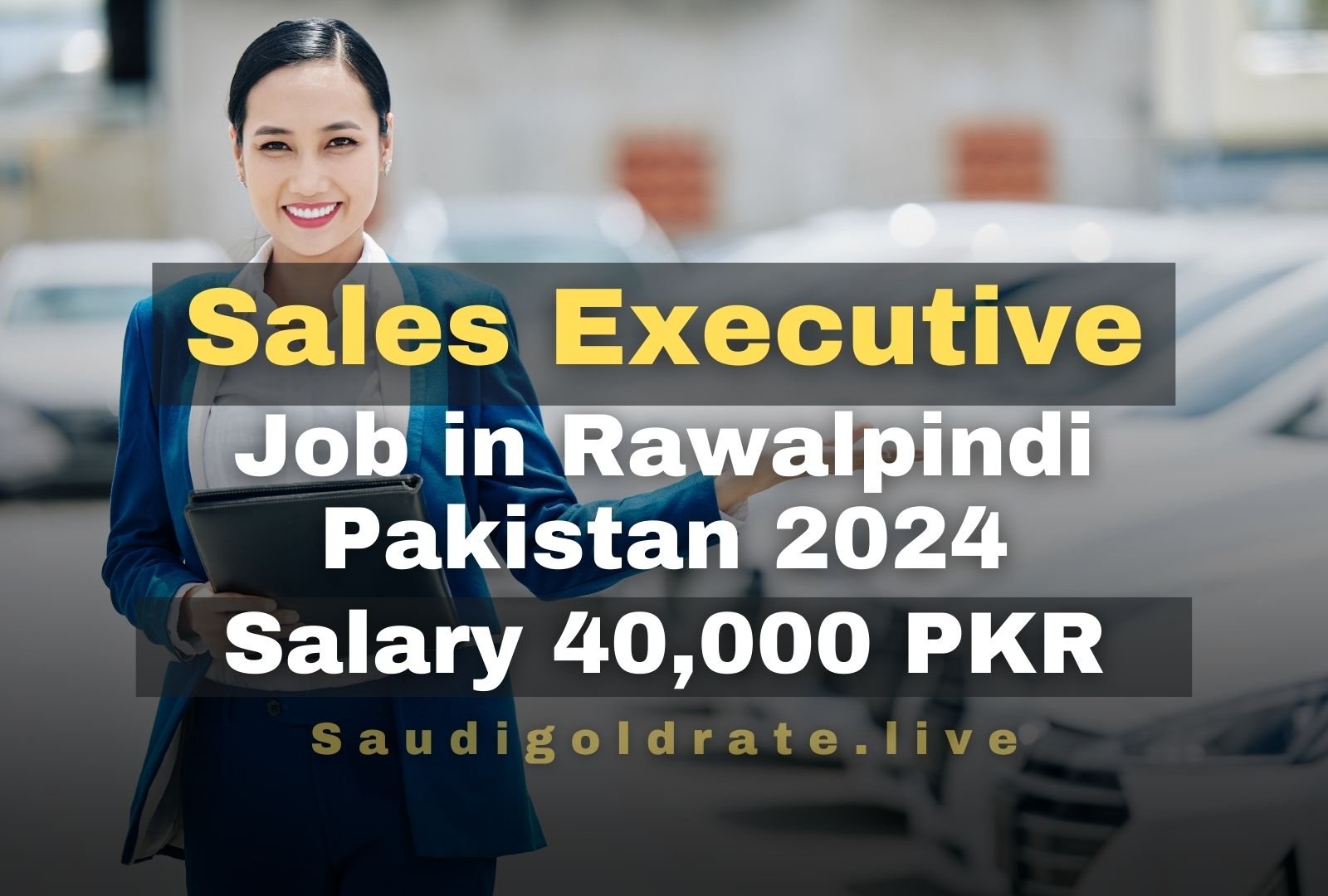 Sales Executive Job