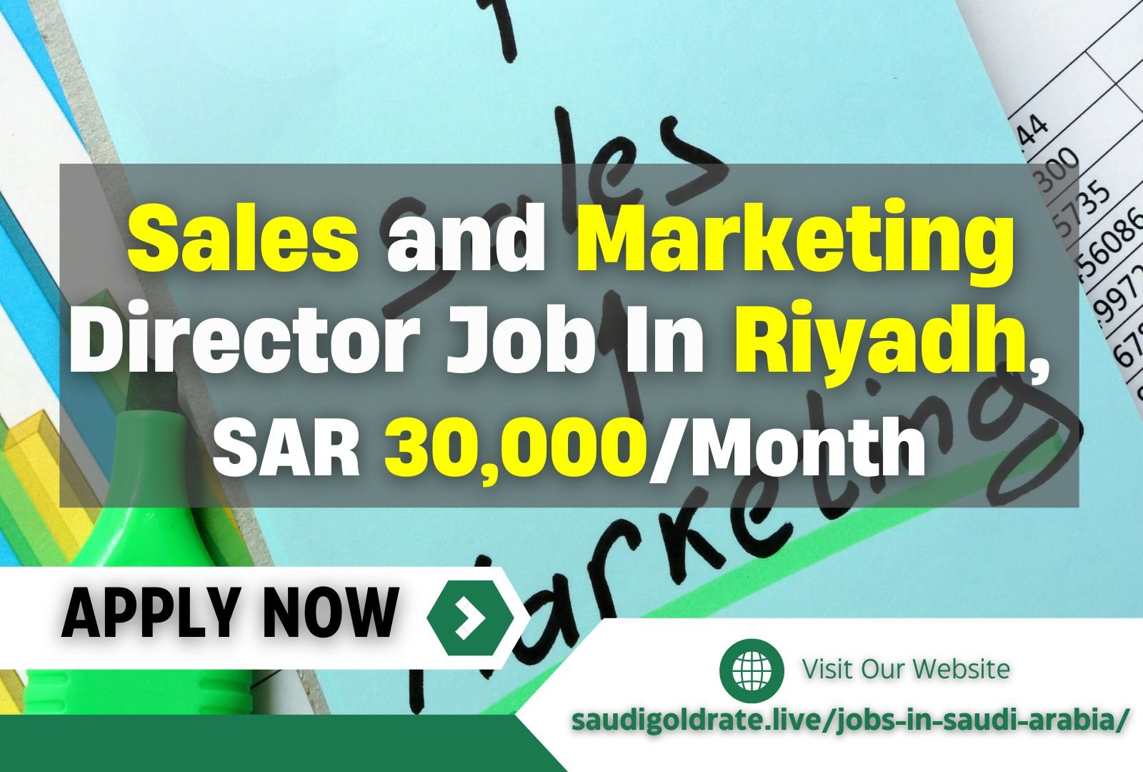 Sales and Marketing Director Job in Riyadh Exciting Career Opportunity