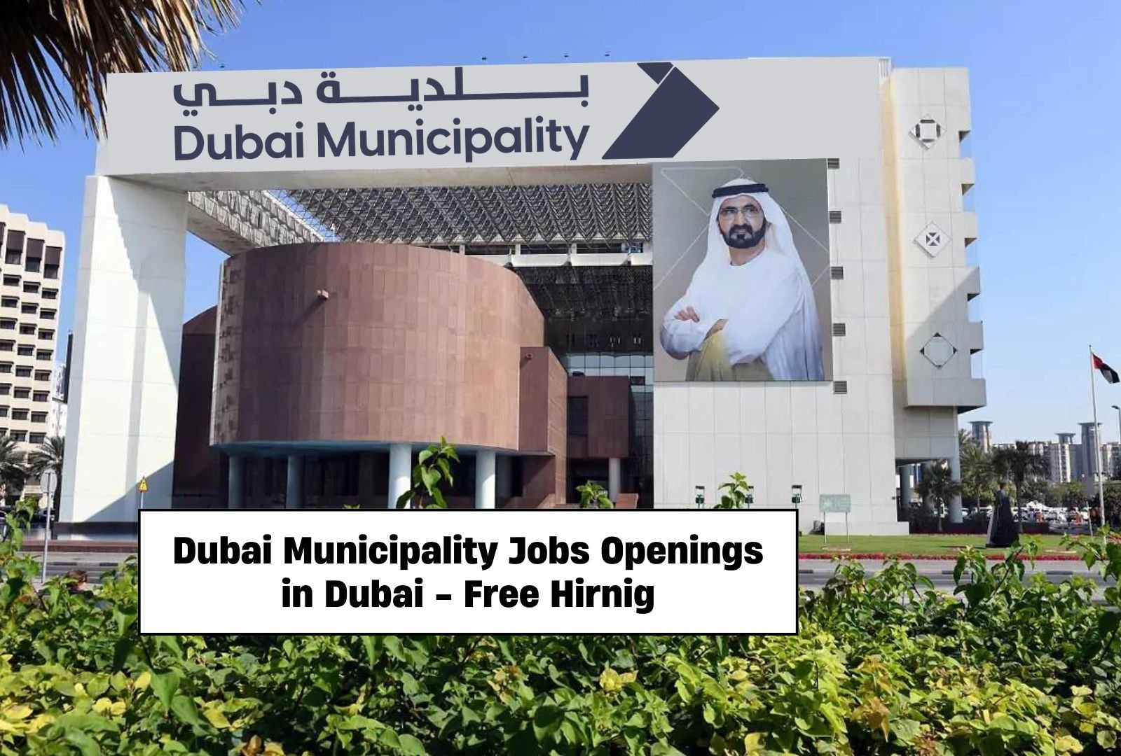 Dubai Municipality Jobs Apply Now for a Dream Career in Dubai