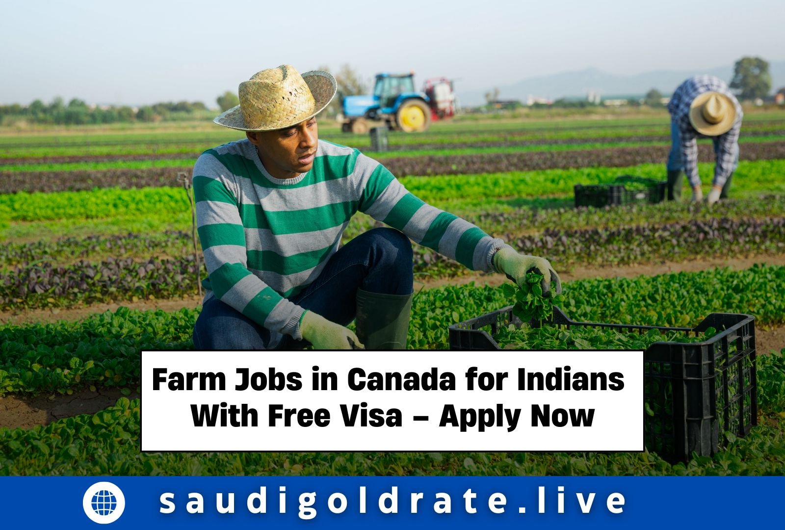 Farm Jobs in Canada for Indians With Free Visa – Apply Now