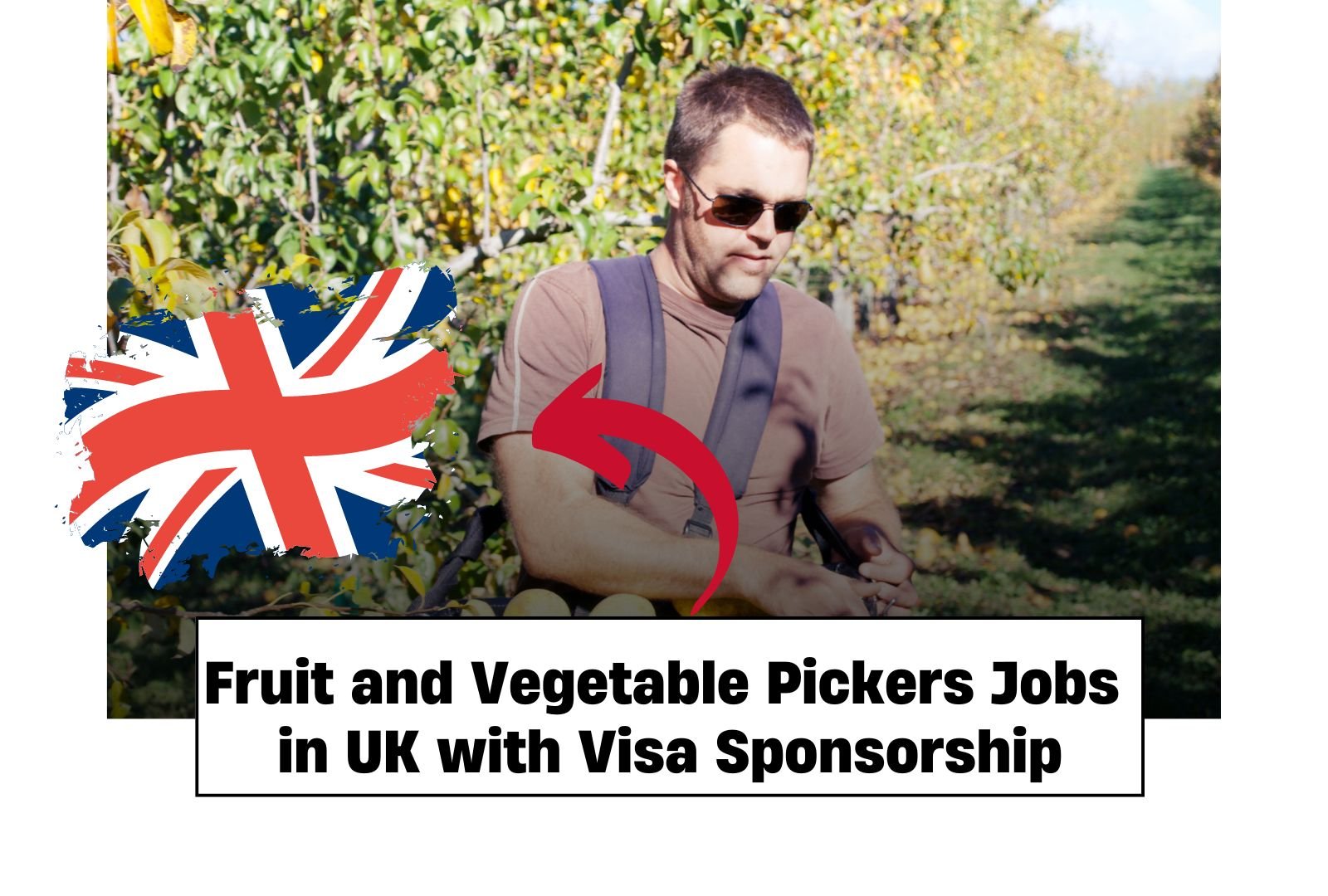 Fruit and Vegetable Pickers Jobs in UK with Visa Sponsorship