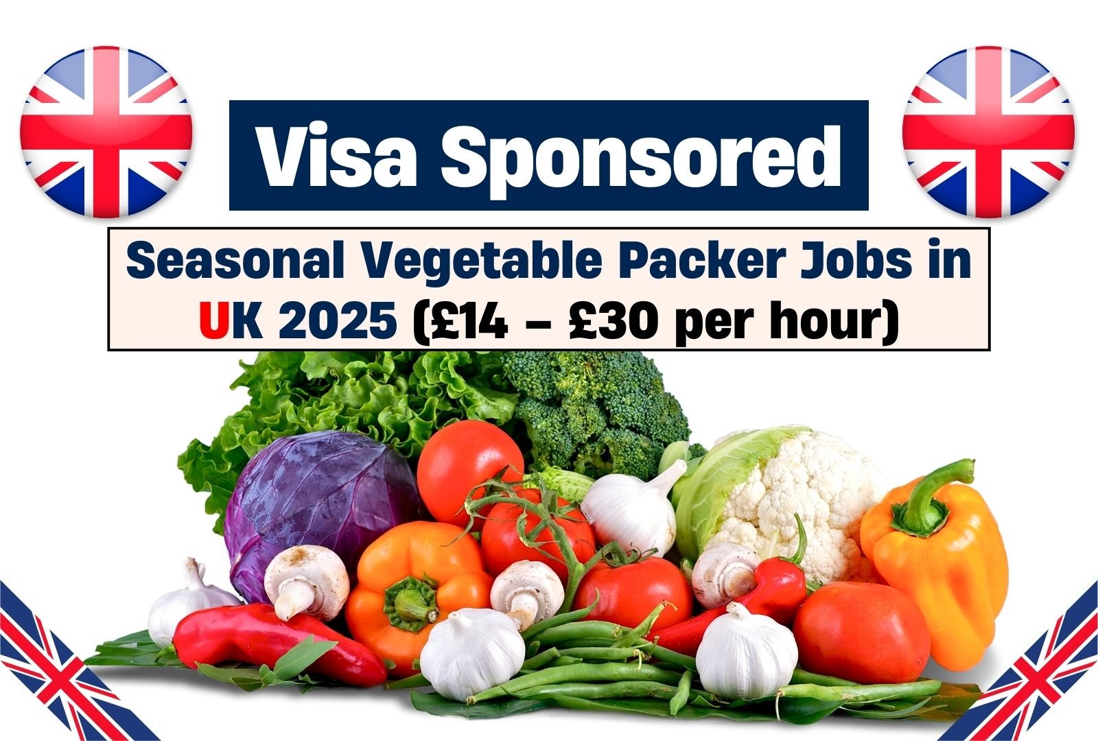 Work in the UK: Seasonal Vegetable Packer Jobs at Mid England Agriculture Ltd, £14 – £30/Hour