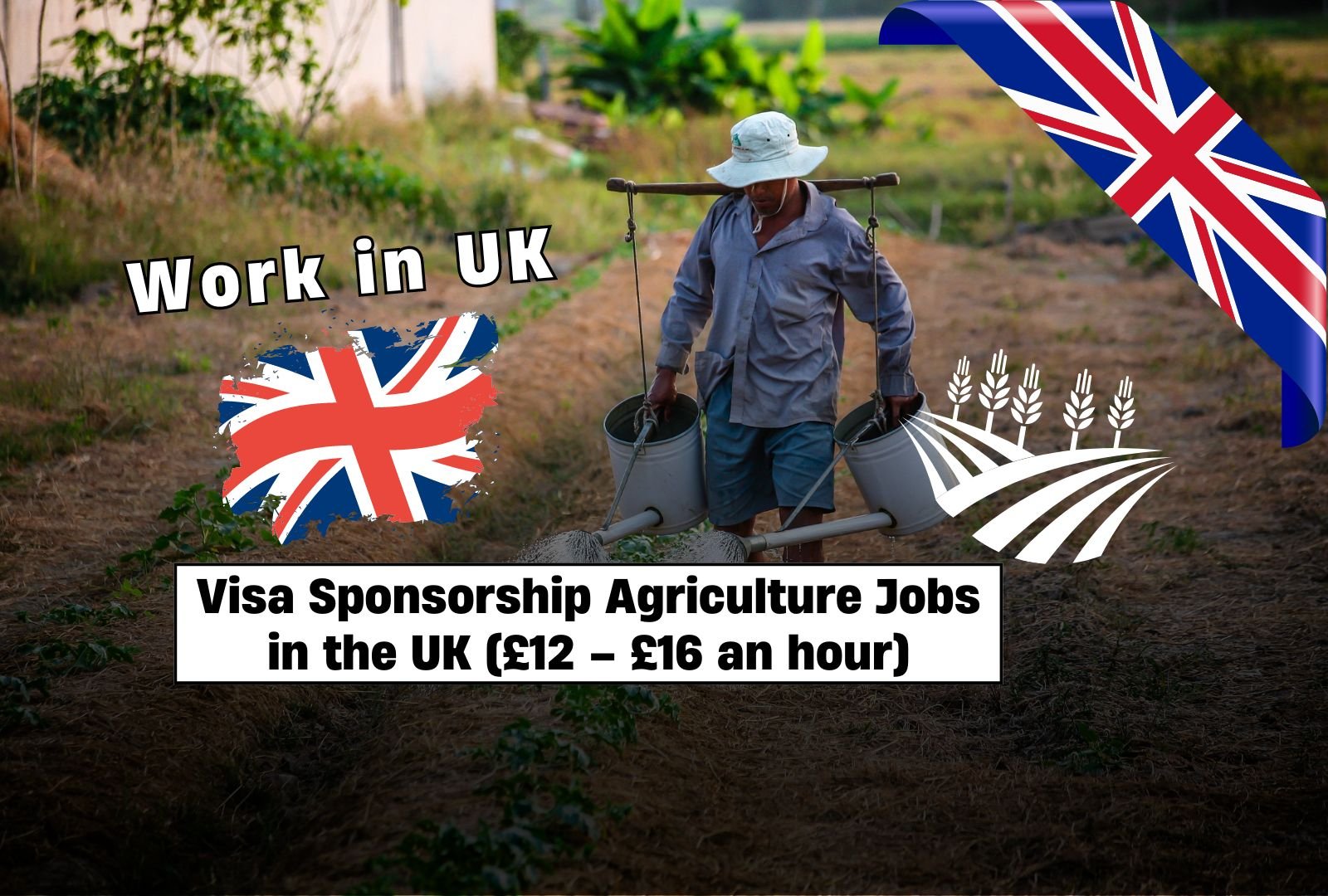 Visa Sponsorship Agriculture Jobs in the UK (£12 – £16 an hour)