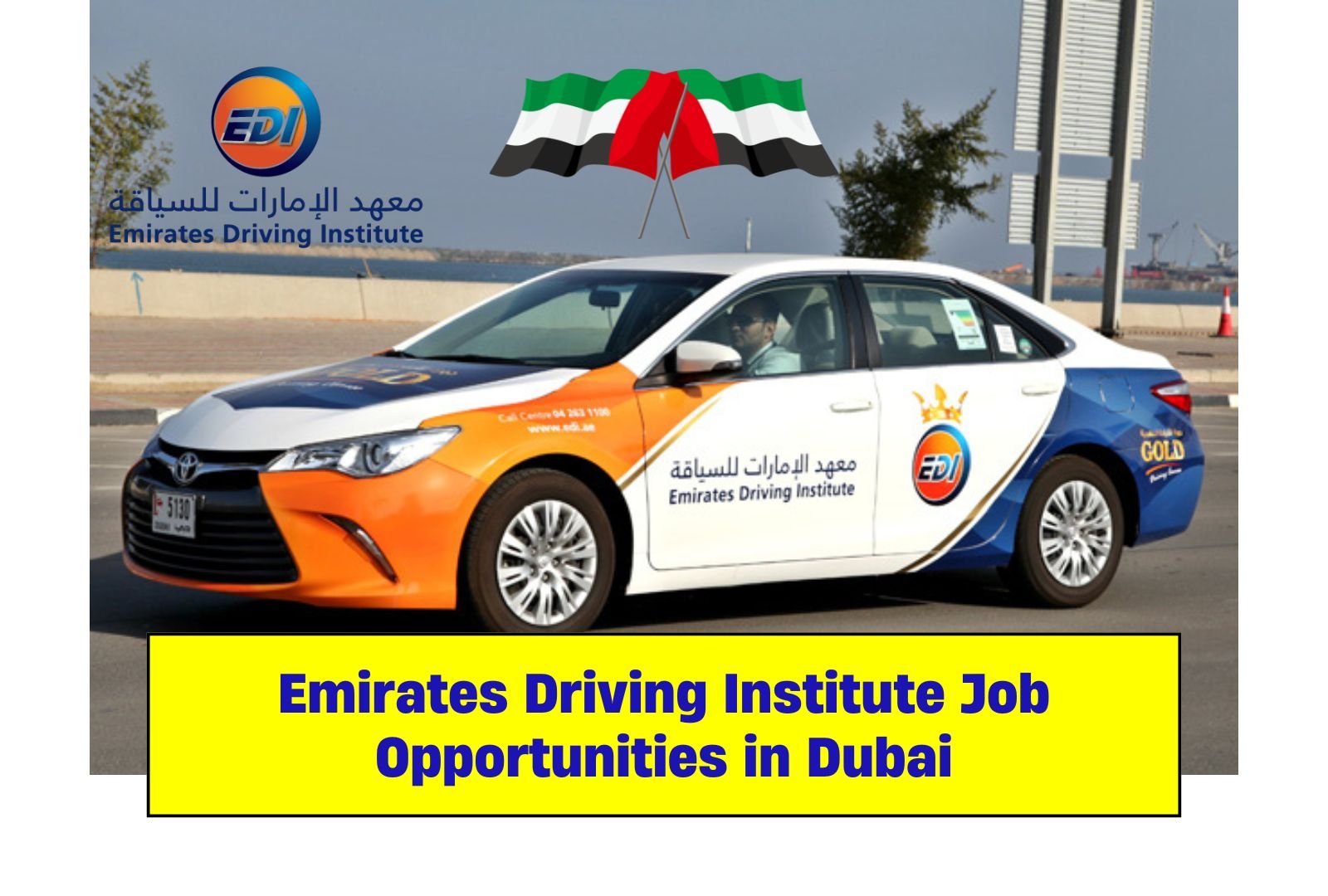 Emirates Driving Institute Job Opportunities in Dubai