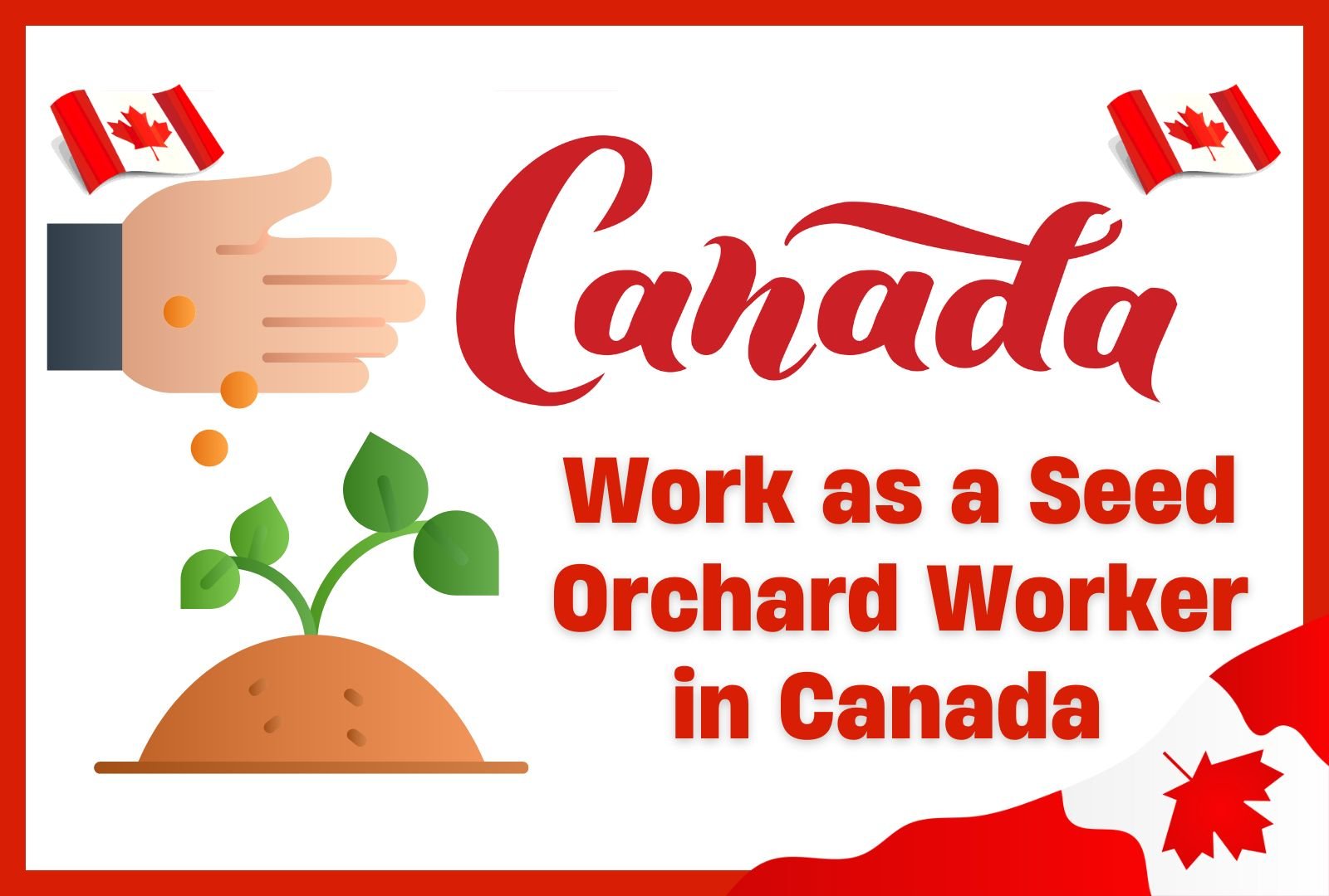 Work as a Seed Orchard Worker in Canada – Visa Sponsorship Jobs ($48K–$54K/Year)