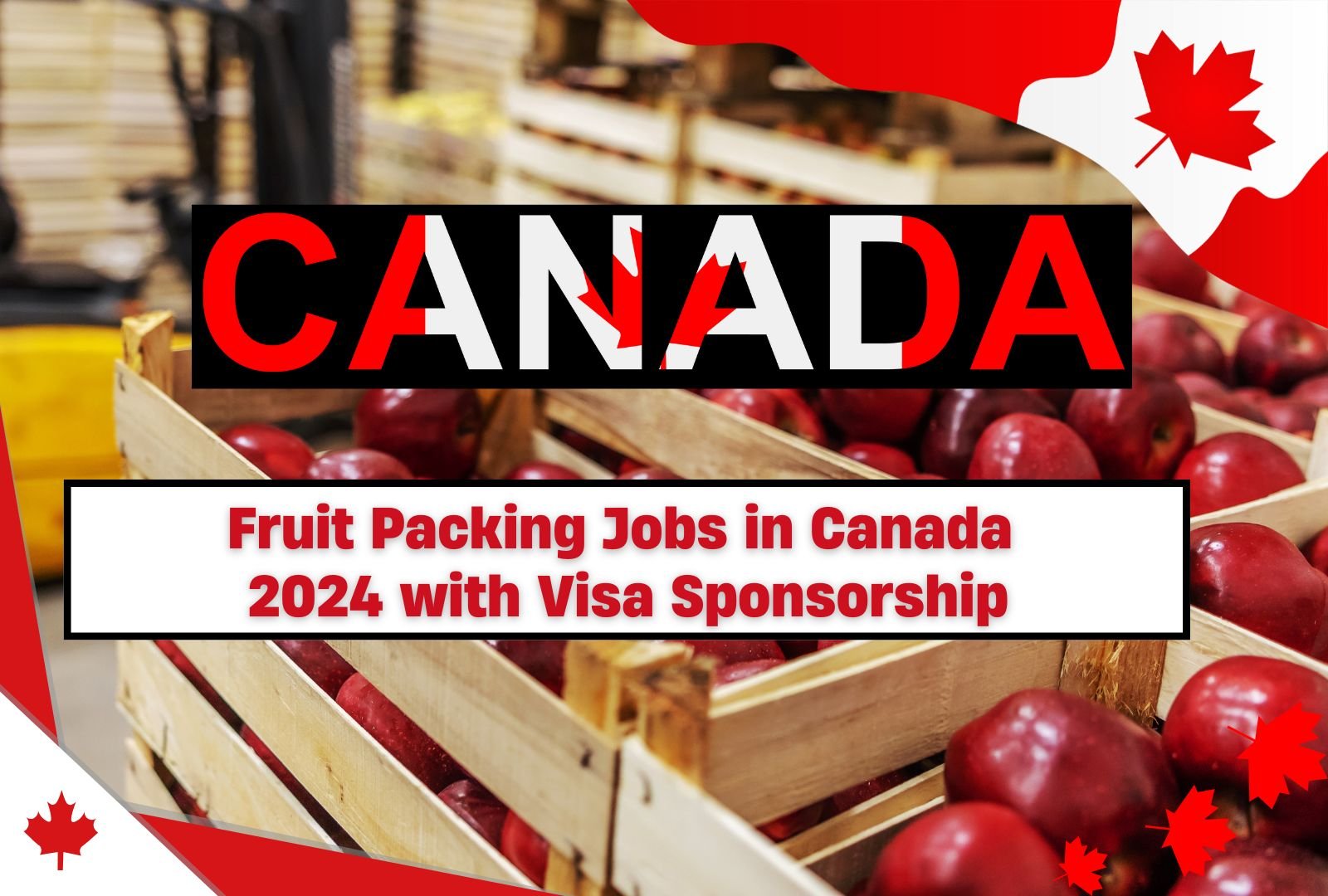 Fruit Packing Jobs in Canada 2024 with Visa Sponsorship ($15.42 per hour)