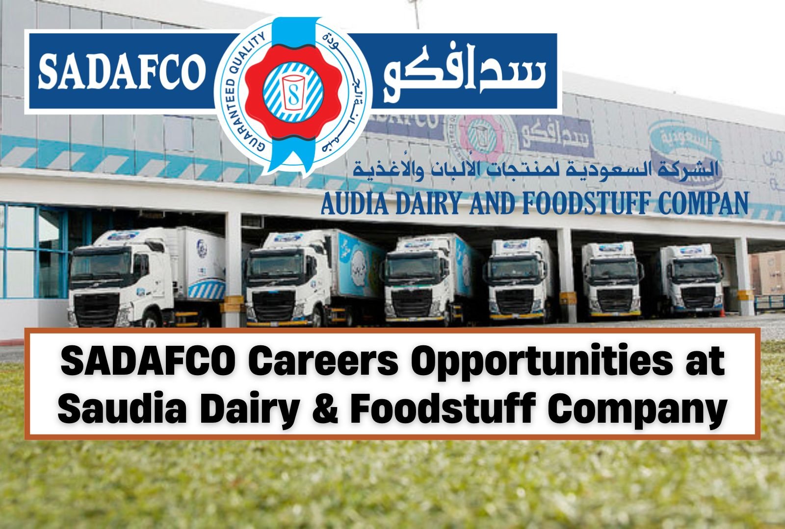 SADAFCO Careers: Opportunities at Saudia Dairy & Foodstuff Company