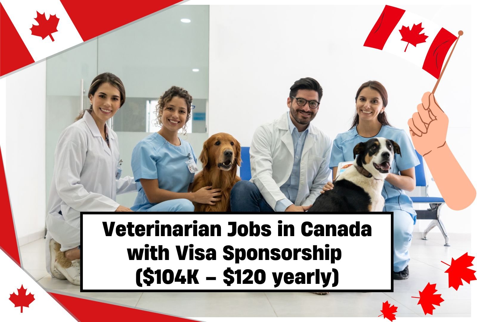 Veterinarian Jobs in Canada with Visa Sponsorship ($104K – $120 yearly)