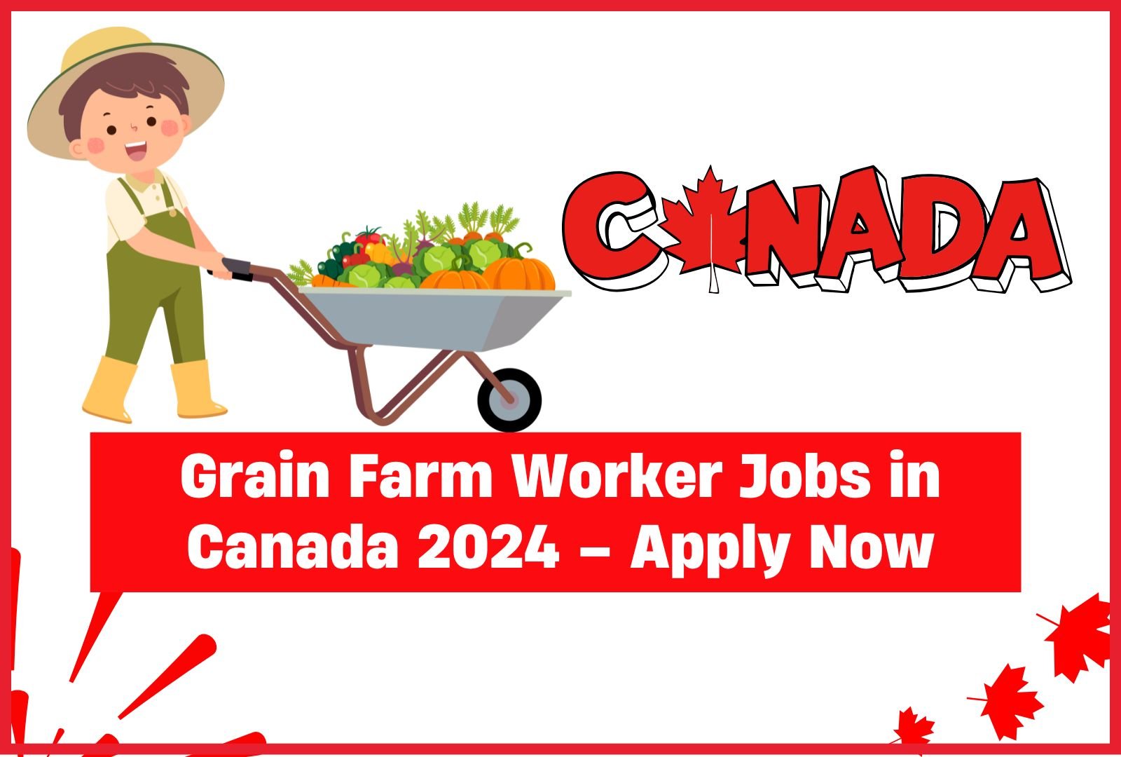 Grain Farm Worker Jobs in Canada 2024 – Apply Now