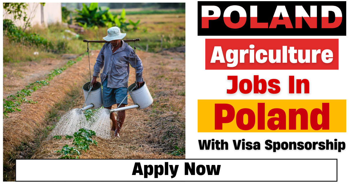 Agriculture Jobs in Poland with Visa Sponsorship for Foreigners 2025