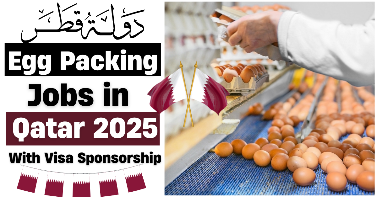 Egg Packing Jobs in Qatar with Visa Sponsorship